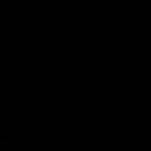 Meet your Posher, Abbey